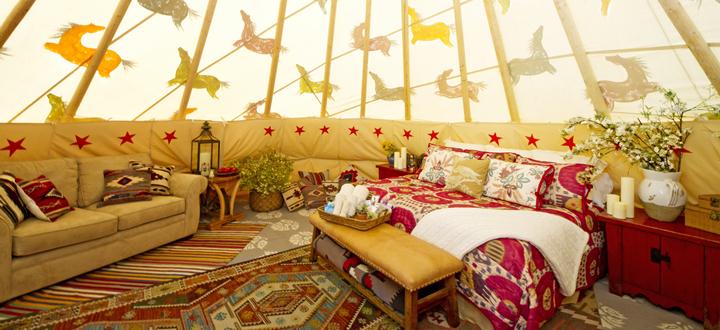 дорогие роскошные бордели Mustang Ranch Resort Невада США brothel