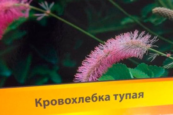 Забавные объявления, реклама и прочие приколы