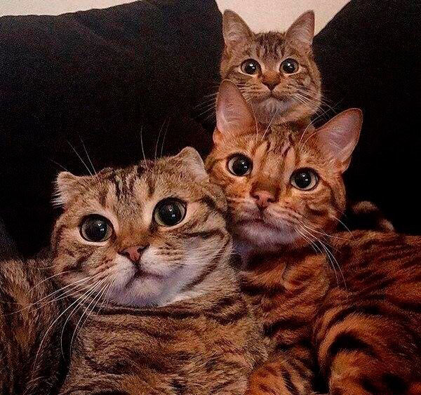 Прикольные фотографии