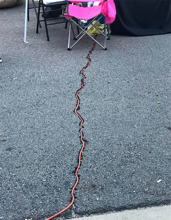 Прикольные фотографии