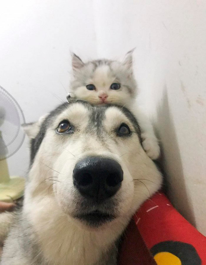 Прикольные фотографии