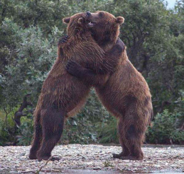 Прикольные фотографии