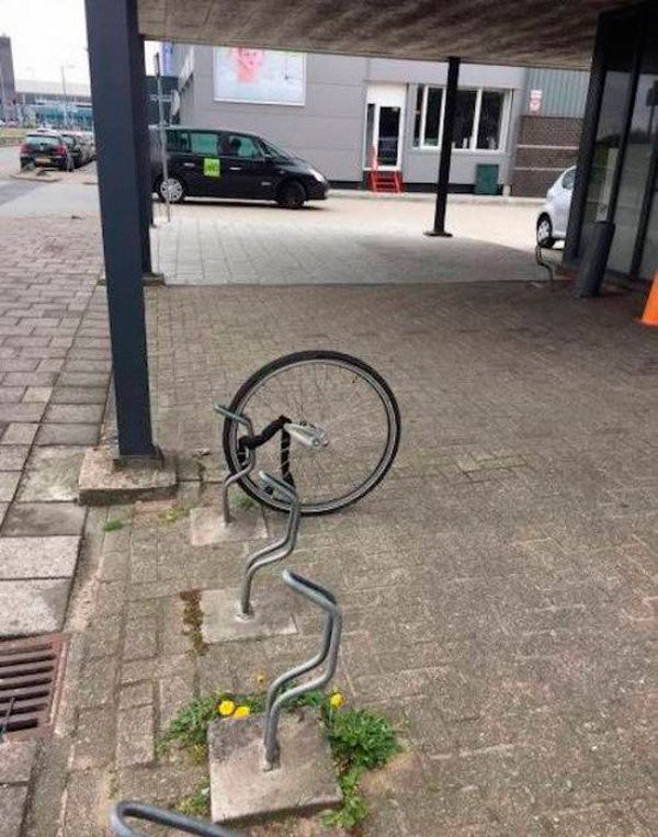 Прикольные фотографии