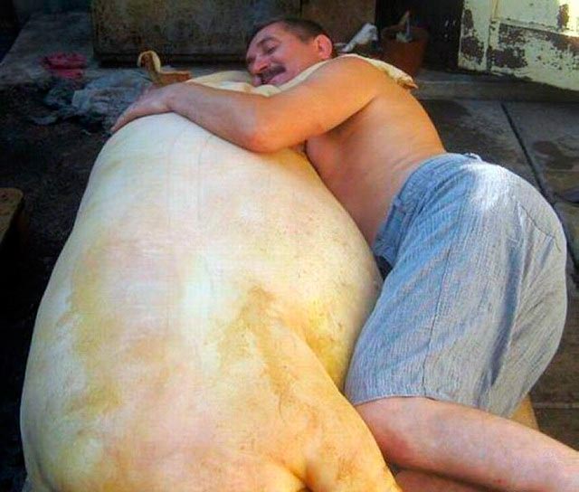 Что едят в России