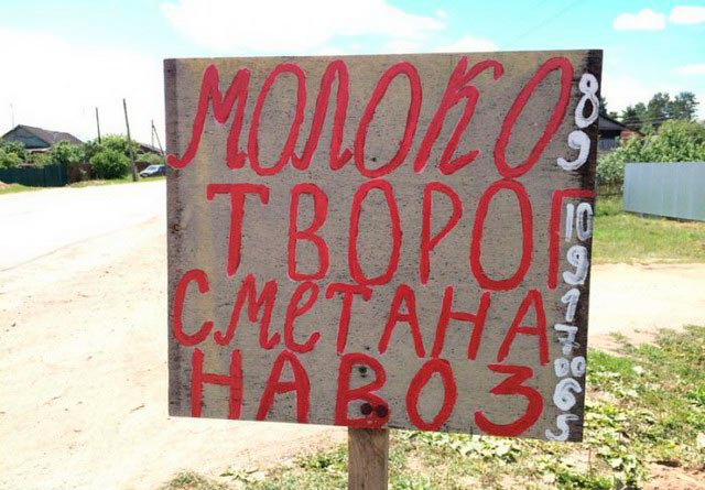 Что едят в России