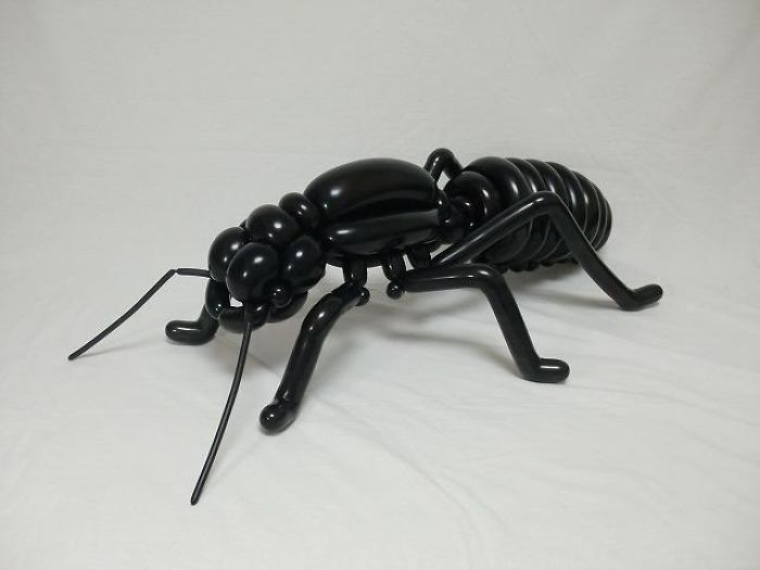 животные из воздушных шариков, японского художника Масаёши Мацумото муравей