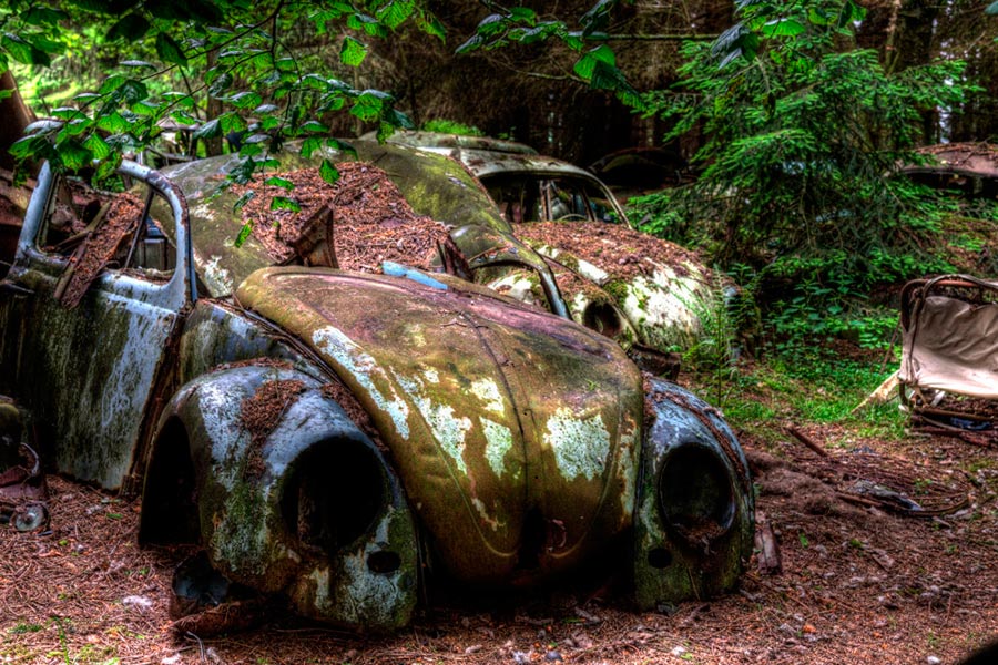 Автомобили, которые застряли в пробке в лесу