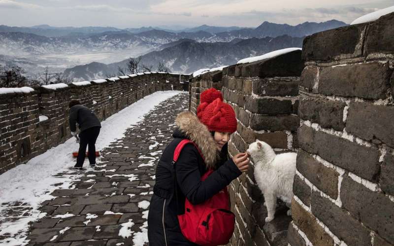 Великая Китайская стена: 10 интересных фактов