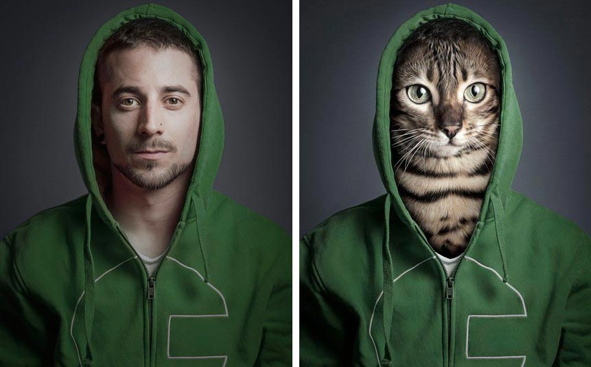 Себастьян Маньяни Sebastian Magnani: кошки и их хозяева забавная фотосерия UnderCats