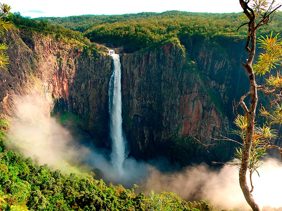 Восхитительная красота Австралии Водопад Уолламан, Национальный парк Girringun