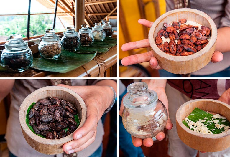 Индонезия: как обрабатывают и выращивают какао