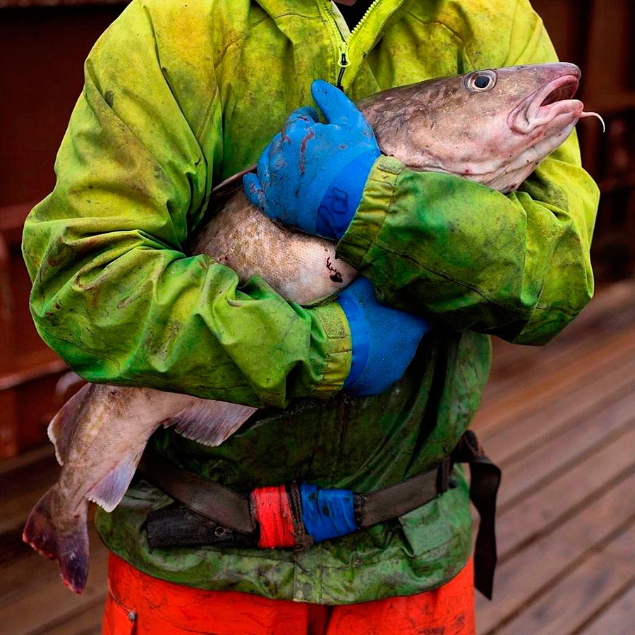 Corey Arnold Кори Арнольд будни рыбаков Аляски Alaska USA