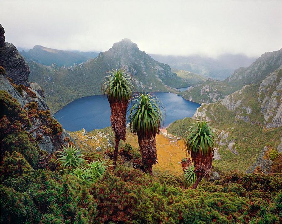 Peter Dombrovskis Питер Домбровскис красота Тасмании Tasmania