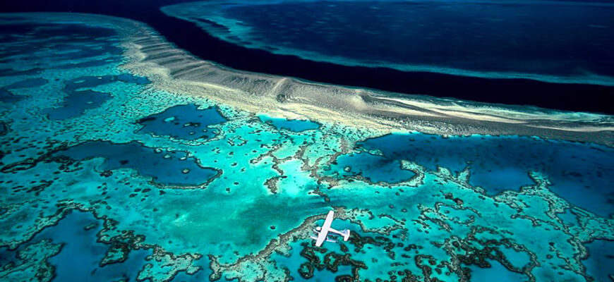 Места на Земле могут исчезнут Большой Барьерный риф