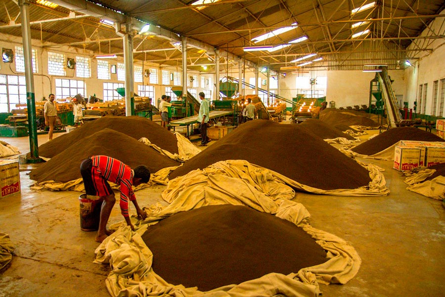 Производство гранулированного чая в Индии India Kurti