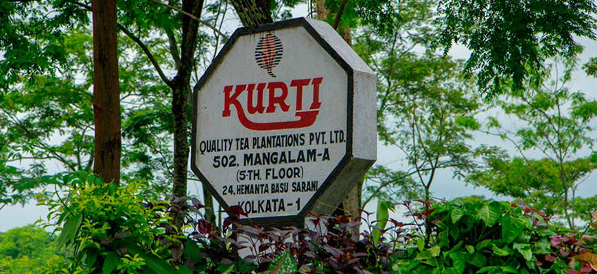 Производство гранулированного чая в Индии India Kurti