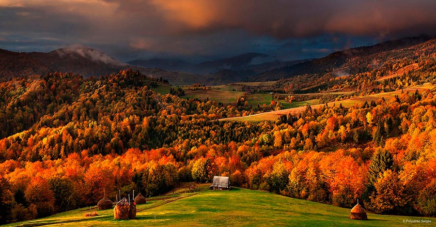 Осень на снимках Сергея Полюшко