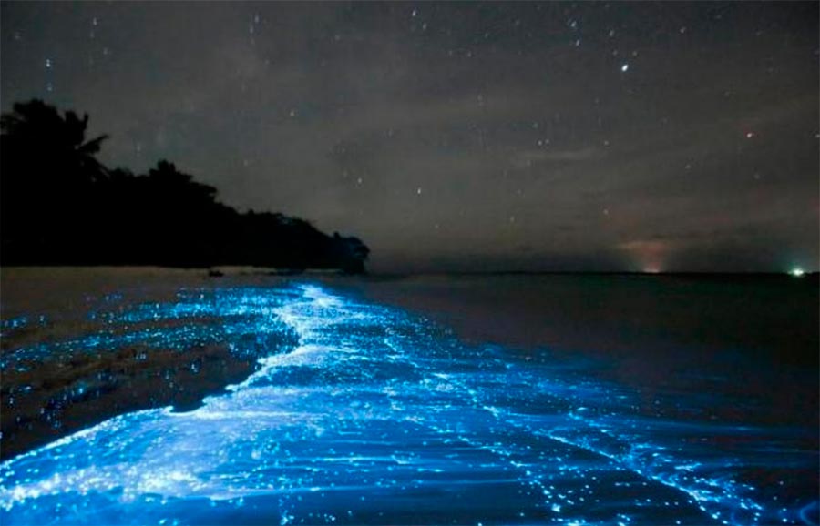 свечение мальдивских пляжей the glow of the Maldivian beaches
