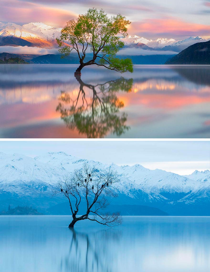 Зима против лета winter against summer Озеро Ванака Новая Зеландия New Zealand
