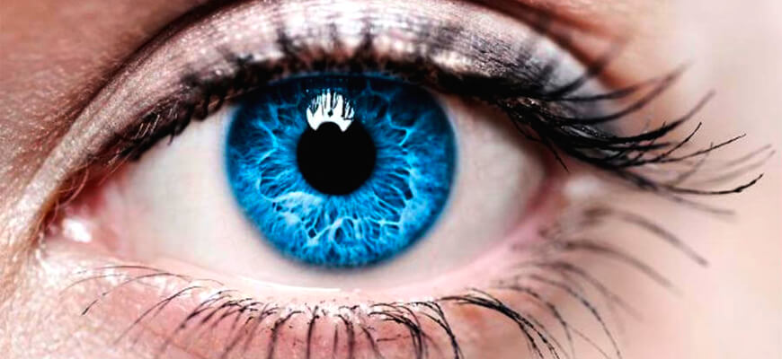 Разработан клей для глаз, который защитит от слепоты