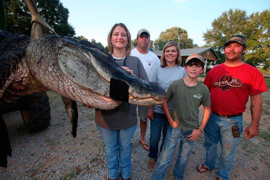 огромный аллигатор США huge alligator USA