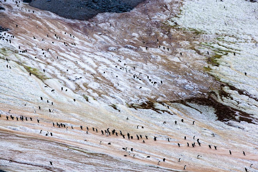 Gaston Lacombe Гастон Лакомб фотографии изменят представление об Антарктиде photo change the idea about Antartica