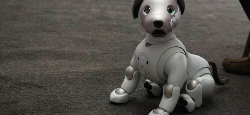 #CES 2018 новая версия робота Aibo
