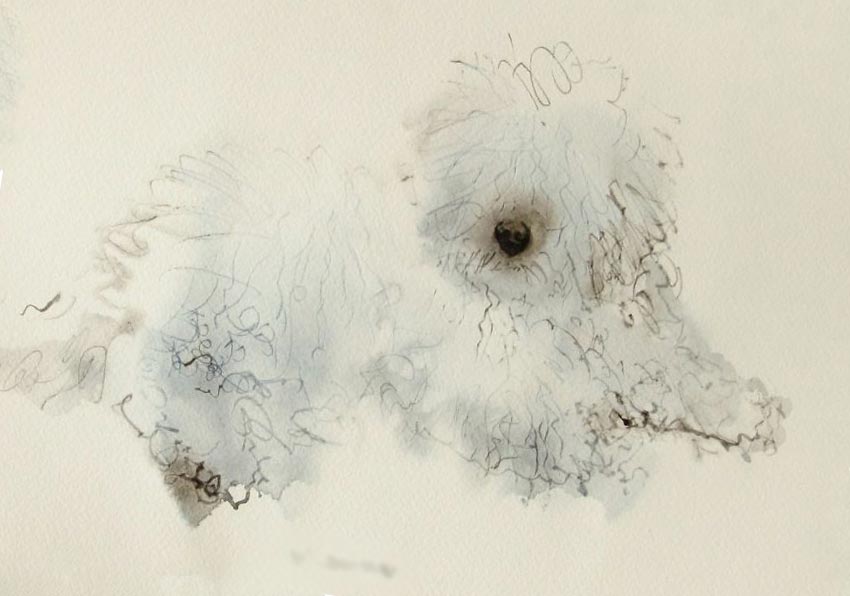 Эндре Пеновак Endre Penovac рисует собак акварелью и чернилами