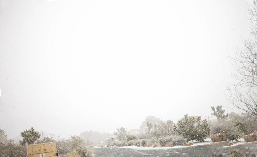 снег в национальном парке Joshua Tree