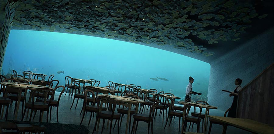"Under": первый в Европе подводный ресторан в Норвегии 14