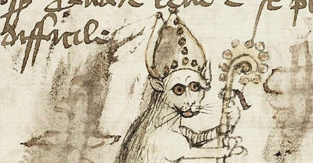 портреты котов в живописи Средневековья