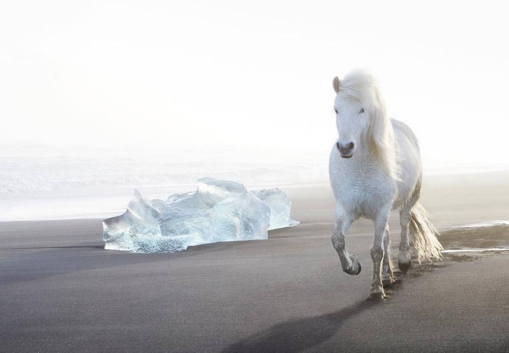 Дрю Доггетт Drew Doggett Лошади среди эпических исландских пейзажей