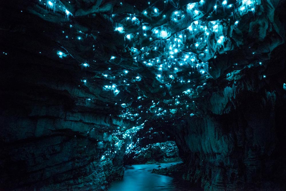 странные удивительные места Вайтомо Waitomo Пещера светлячков Новая Зеландия
