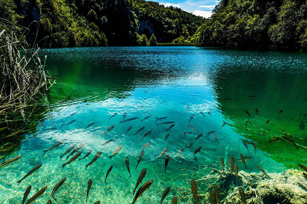 странные удивительные места Плитвицкие озера Хорватия